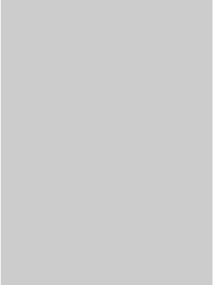 Premium klases bambusa WPC sienas panelis Grey Matte Mono, 2800 × 1200 × 8 mm